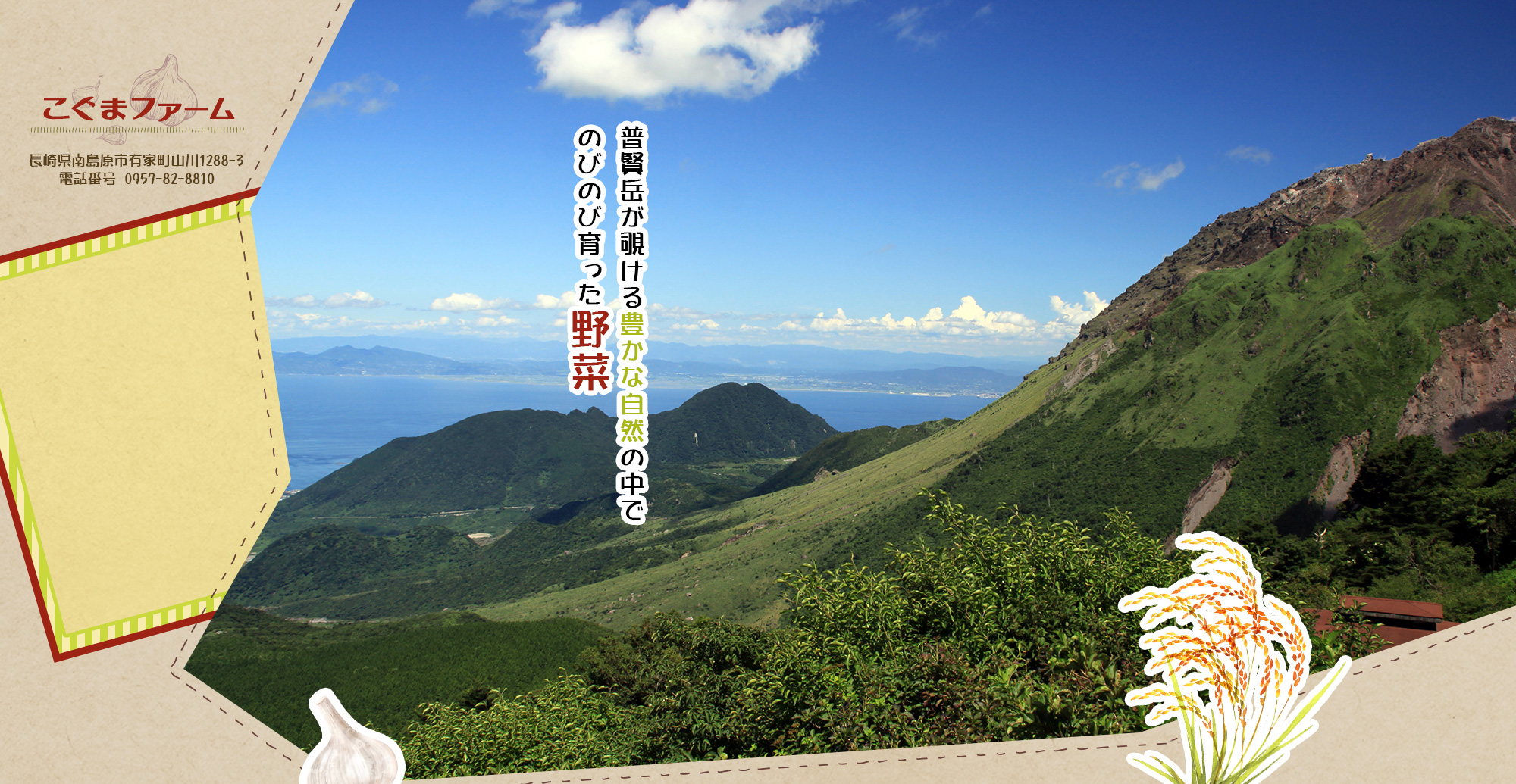 普賢岳が覗ける豊かな自然の中でのびのび育った野菜