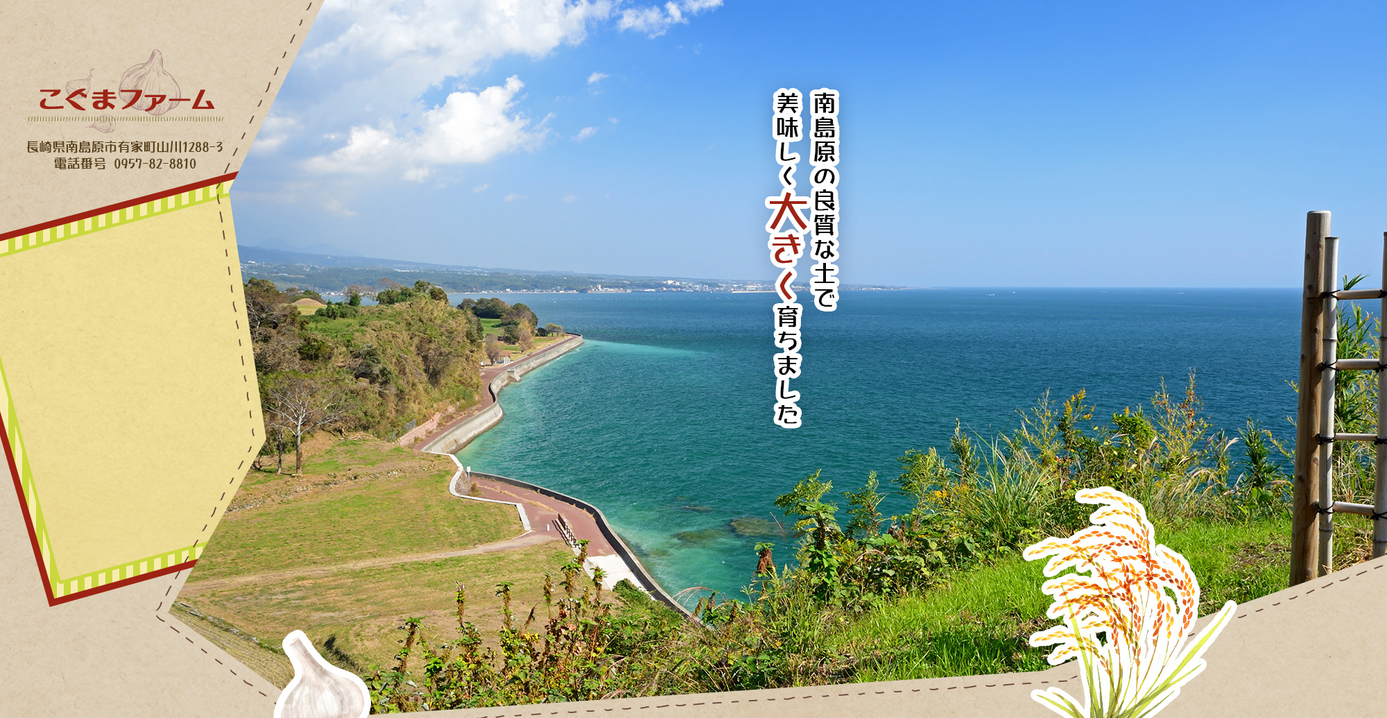 南島原の良質な土で美味しく大きく育ちました